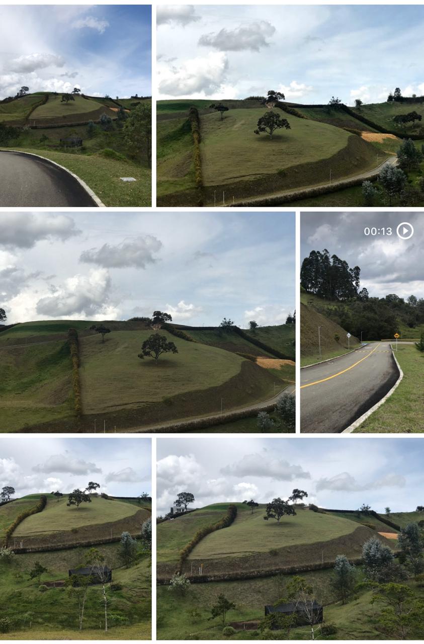 WhatsApp Image 2022-07-29 at 10.43.00 AM (2)