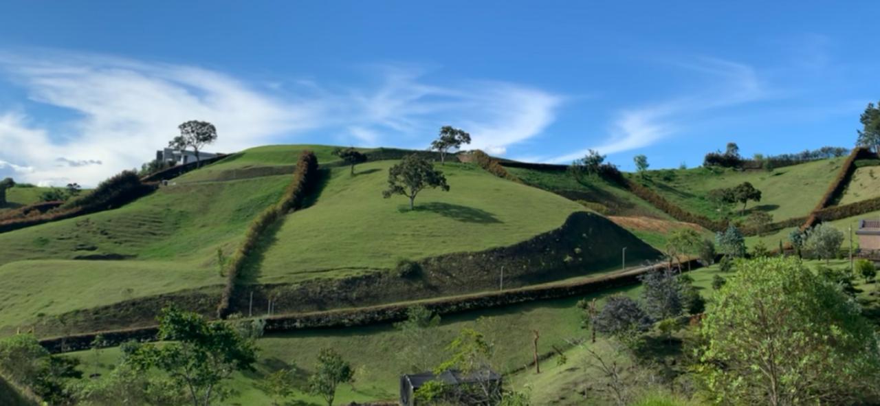 WhatsApp Image 2022-07-29 at 10.43.00 AM